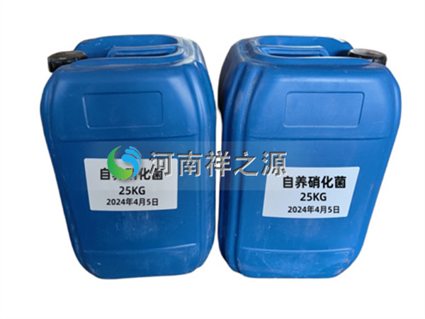 自養(yǎng)硝化菌 自養(yǎng)硝化菌